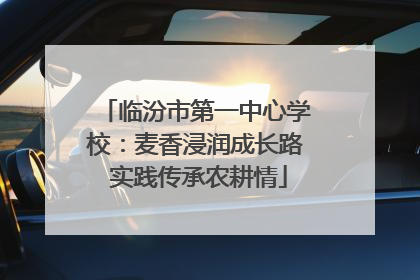 临汾市第一中心学校：麦香浸润成长路 实践传承农耕情