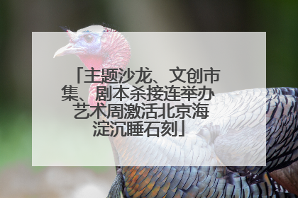 主题沙龙、文创市集、剧本杀接连举办 艺术周激活北京海淀沉睡石刻