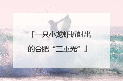 一只小龙虾折射出的合肥“三重光”