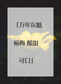 万年东魁杨梅 酸甜可口