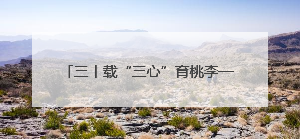 三十载“三心”育桃李——记湖南省石门县第一完全小学高级教师覃玲君
