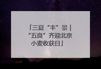 三夏“丰”景｜“五良”齐迎北京小麦收获日