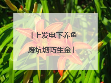上发电下养鱼 废坑塘巧生金