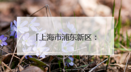 上海市浦东新区：28个周末倾情付出 军地携手育英才
