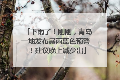下雨了！刚刚，青岛一地发布暴雨蓝色预警！建议晚上减少出