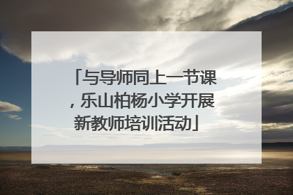 与导师同上一节课，乐山柏杨小学开展新教师培训活动