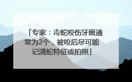 专家：毒蛇咬伤牙痕通常为2个，被咬后尽可能记清蛇特征或拍照