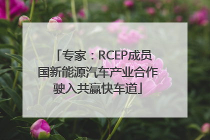 专家：RCEP成员国新能源汽车产业合作驶入共赢快车道