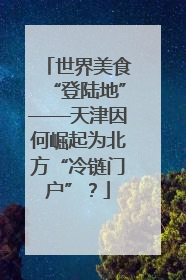 世界美食“登陆地”——天津因何崛起为北方“冷链门户”？