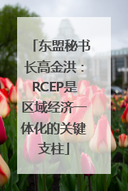 东盟秘书长高金洪：RCEP是区域经济一体化的关键支柱