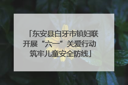 东安县白牙市镇妇联开展“六一”关爱行动 筑牢儿童安全防线