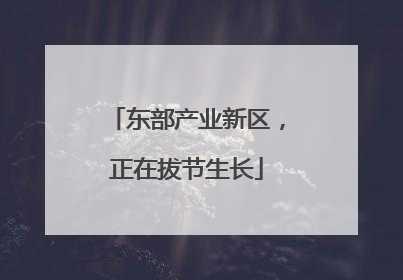 东部产业新区，正在拔节生长