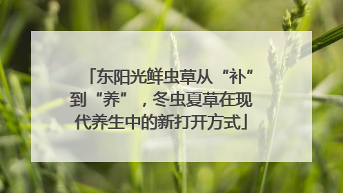 东阳光鲜虫草从“补”到“养”，冬虫夏草在现代养生中的新打开方式