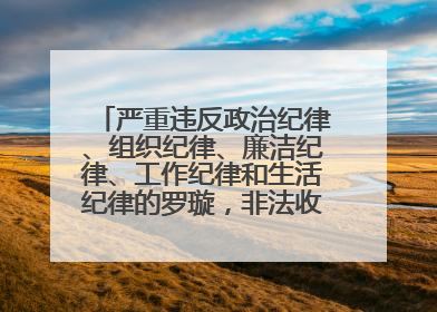 严重违反政治纪律、组织纪律、廉洁纪律、工作纪律和生活纪律的罗璇，非法收受他人巨额财物