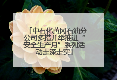 中石化黄冈石油分公司多措并举推进“安全生产月”系列活动走深走实