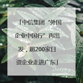 中信集团“外国企业中国行”再出发，超200家日资企业走进广东