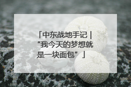 中东战地手记｜“我今天的梦想就是一块面包”