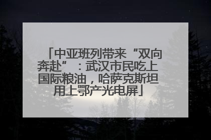 中亚班列带来“双向奔赴”：武汉市民吃上国际粮油，哈萨克斯坦用上鄂产光电屏
