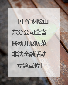 中华财险山东分公司全省联动开展防范非法金融活动专题宣传