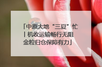 中原大地“三夏”忙丨机收运输畅行无阻 金粒归仓保障有力