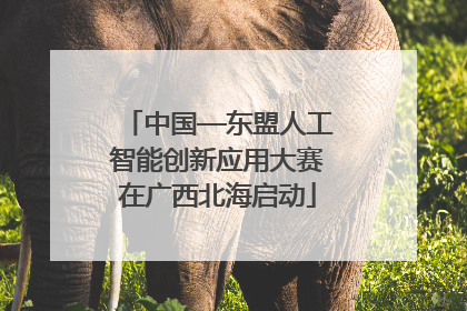 中国—东盟人工智能创新应用大赛在广西北海启动