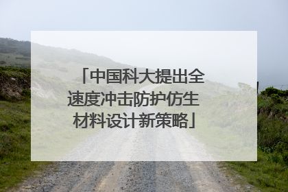 中国科大提出全速度冲击防护仿生材料设计新策略