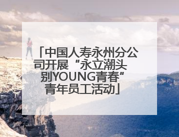 中国人寿永州分公司开展“永立潮头 别YOUNG青春”青年员工活动