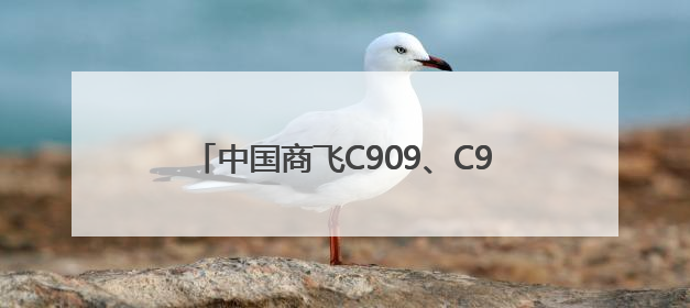 中国商飞C909、C919和C929等机型参加2025年巴黎国际航展