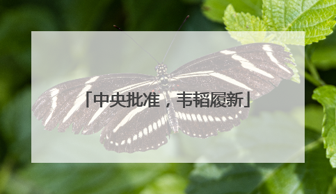 中央批准，韦韬履新