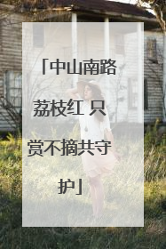 中山南路荔枝红 只赏不摘共守护