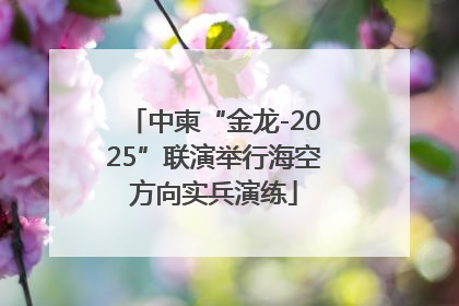 中柬“金龙-2025”联演举行海空方向实兵演练