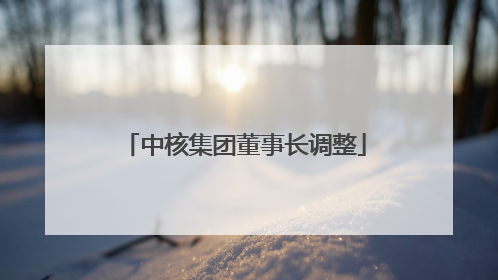 中核集团董事长调整