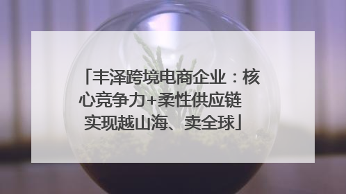 丰泽跨境电商企业：核心竞争力+柔性供应链 实现越山海、卖全球