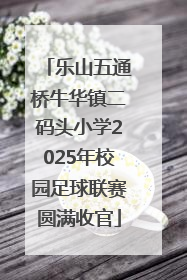 乐山五通桥牛华镇二码头小学2025年校园足球联赛圆满收官