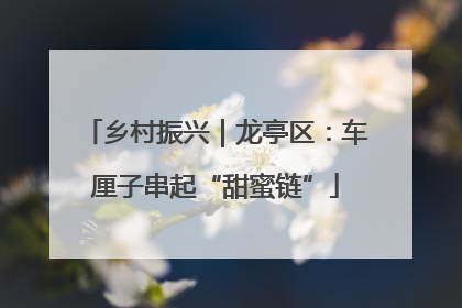 乡村振兴｜龙亭区：车厘子串起“甜蜜链”