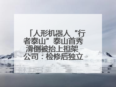 人形机器人“行者泰山”泰山首秀滑倒被抬上担架 公司：检修后独立下山 测试就是为暴露问题