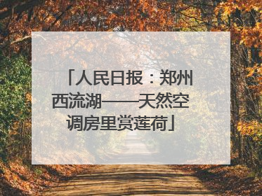 人民日报：郑州西流湖——天然空调房里赏莲荷