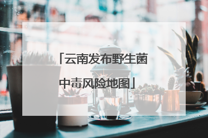 云南发布野生菌中毒风险地图