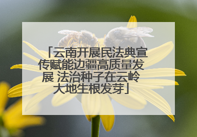 云南开展民法典宣传赋能边疆高质量发展 法治种子在云岭大地生根发芽
