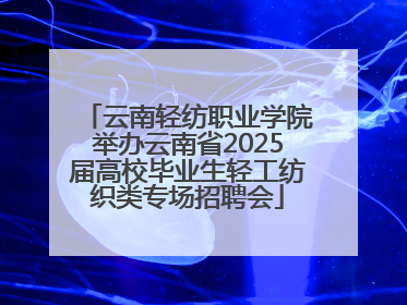 云南轻纺职业学院举办云南省2025届高校毕业生轻工纺织类专场招聘会