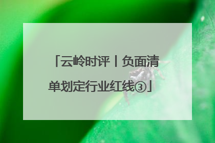 云岭时评丨负面清单划定行业红线③