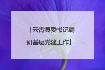 云霄县委书记调研基层党建工作
