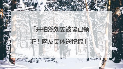 井柏然刘雯被曝已领证！网友集体送祝福
