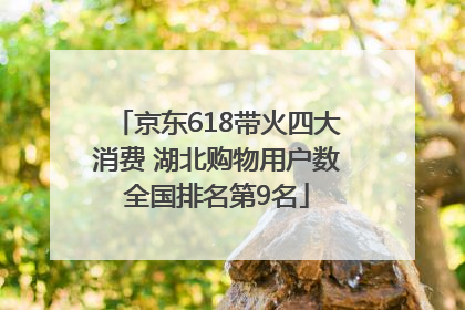京东618带火四大消费 湖北购物用户数全国排名第9名