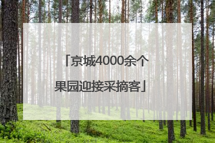 京城4000余个果园迎接采摘客