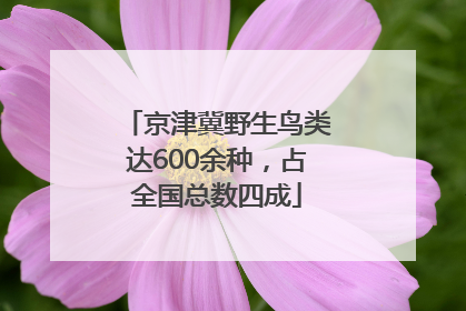 京津冀野生鸟类达600余种，占全国总数四成