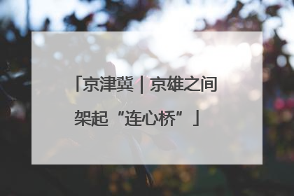 京津冀｜京雄之间架起“连心桥”