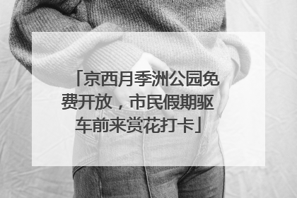 京西月季洲公园免费开放，市民假期驱车前来赏花打卡