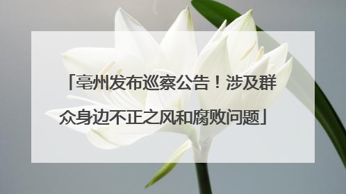 亳州发布巡察公告！涉及群众身边不正之风和腐败问题