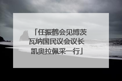 任振鹤会见博茨瓦纳国民议会议长凯奥拉佩采一行